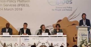 IPBES-informe-degradacion-critica-tierra-conjugandoadjetivos