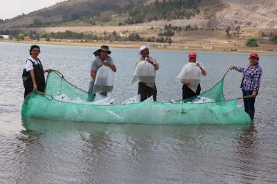 COMIENZA PROGRAMA FAMILIAS FUERTES CON FOMENTO ACUÍCOLA 2018