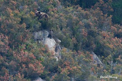 Las señales de la primavera Las señales de la primavera