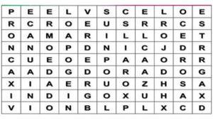 El primer color que veas en esta sopa de letras dirá una verdad sobre tu personalidad que debes saber 01-3