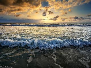 SI MIRAS EL NAVÍO QUE REGRESA...