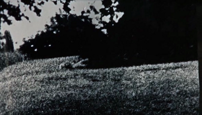 Blow Up, de Antonioni. (LO) Visto y (LO) no visto.