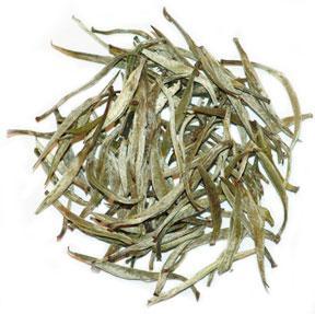 Todas las propiedades del té blanco