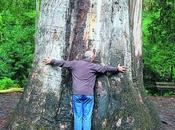 Riego Árboles Parte