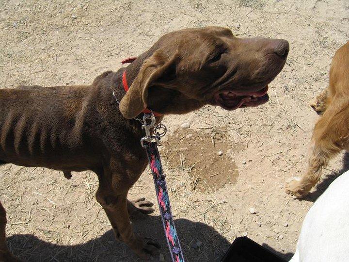 Una sola letra: la diferencia entre el cielo y el infierno