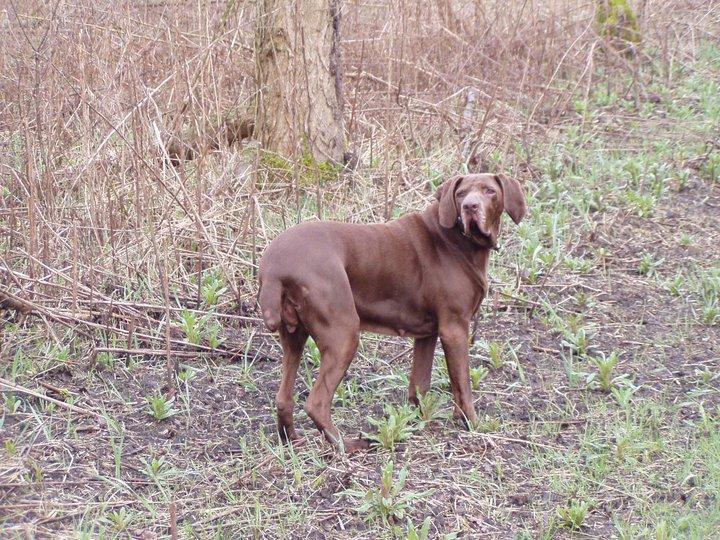 Una sola letra: la diferencia entre el cielo y el infierno