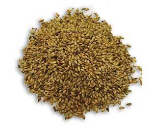 Propiedades-de-la-levadura-de-cerveza Suplementos para lograr el equilibrio nutricional