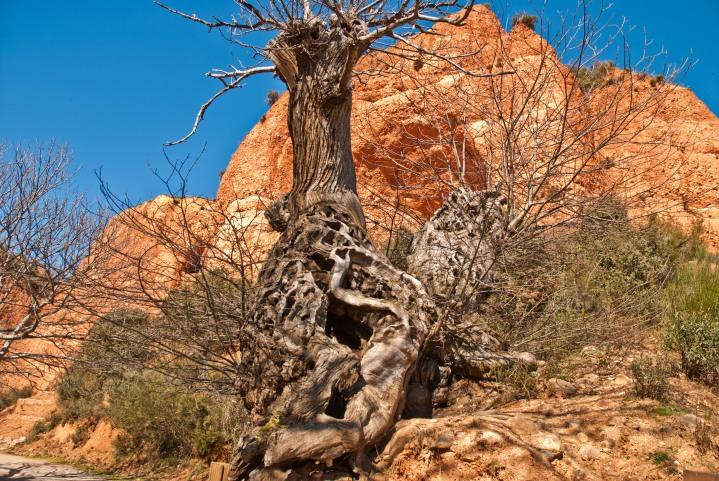Visita a las Médulas en el Bierzo.  Por Max.