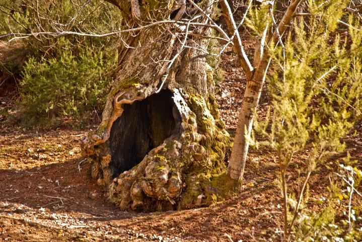 Visita a las Médulas en el Bierzo.  Por Max.