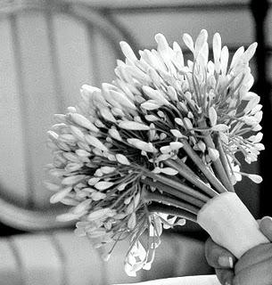 ESPE PONS: FOTOPERIODISMO EN BODAS