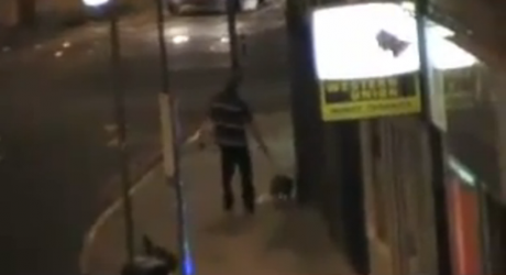 Borracho paseando al perro