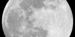 LUNA, LUNERA, CASCABELERA…