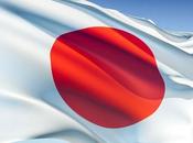 Pollo salsa soja miel