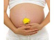 Consejos durante embarazo