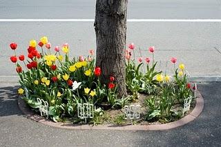 Jardines espontáneos