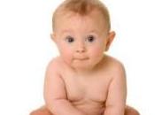 Primera etapa bebe