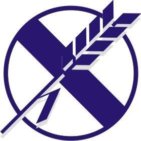 celiaco Que puede comer un celiaco