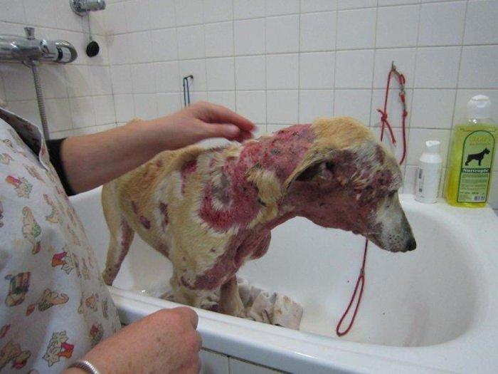 Volvió a nacer . Luz entre tinieblas