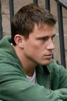 Descubrimos las últimas novedades atractivas sobre adaptaciones al cine - Actualidad - Noticias del mundillo