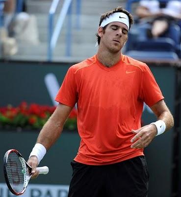 DEL POTRO PERDIÓ PERO SIGUE SUBIENDIO EN EL RANKING