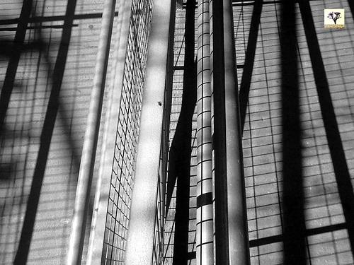 “La historia es la ficción que inventamos para pers...