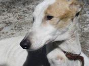 Vida ayuda para ella. (Madrid)