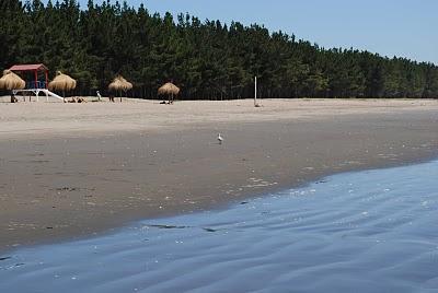 Playa Arauco - Beach summer Arauco Chile