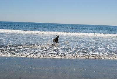 Playa Arauco - Beach summer Arauco Chile