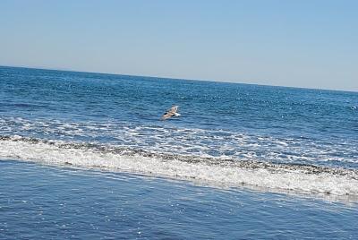 Playa Arauco - Beach summer Arauco Chile