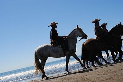 Playa Arauco - Beach summer Arauco Chile