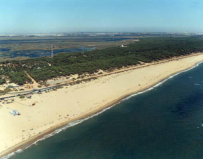 Salvemos La Bota ¿Por qué no aprendemos nunca?