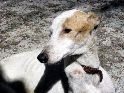 Vida, la historia interminable