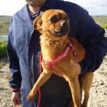 Tomi, está en la perrera, ayúdalo. (Jaén)