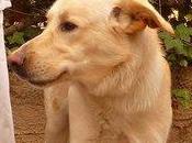 urgente! solo meses sacrifican lunes.