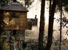 Dormir en los Árboles Dormir en los Árboles