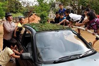 Jardín para techo de coche