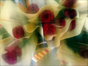 Diada de Sant Jordi – Barcelona 2011