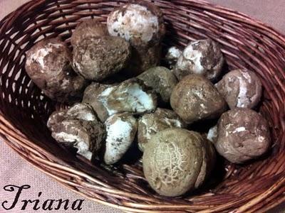 Revuelto con gurumelos del Andevalo