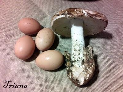 Revuelto con gurumelos del Andevalo