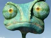 Rango