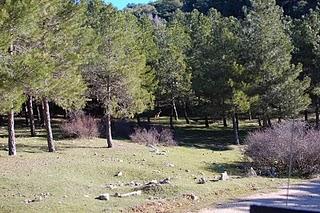 Escapada a la Sierra de Cazorla