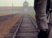 José Luis Muñoz absoluto