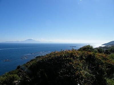 MIGRACIÓN con mayúsculas en el Estrecho de Gibraltar...17-18/03/11