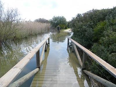MIGRACIÓN con mayúsculas en el Estrecho de Gibraltar...17-18/03/11