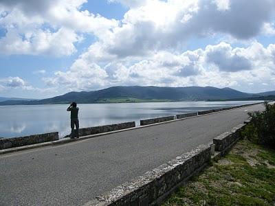 MIGRACIÓN con mayúsculas en el Estrecho de Gibraltar...17-18/03/11