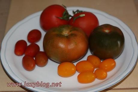 Ensalada de tomates variados y melva canutera