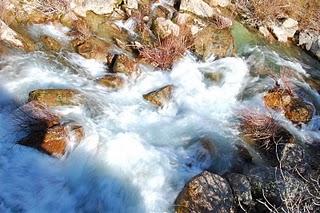 Día Mundial del Agua