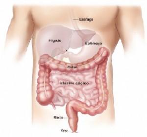 En España se detectan 500 casos de cáncer colorrectal a la semana
