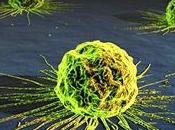 Nanodiamantes para combatir cancer