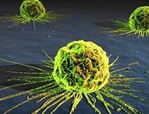 Nanodiamantes para combatir el cancer